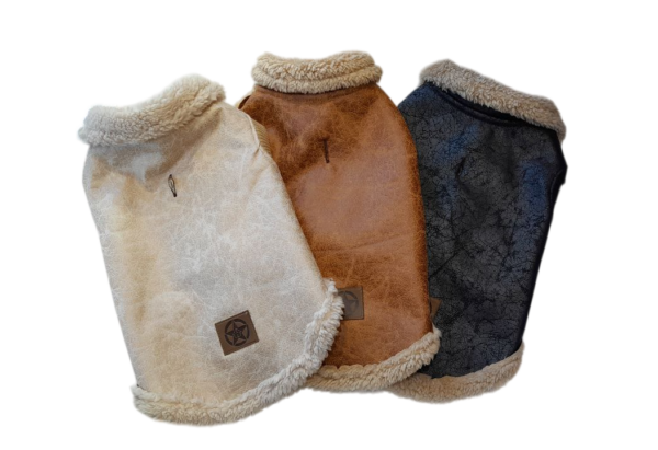 Campera Gamulán - Mascotte - Image 2