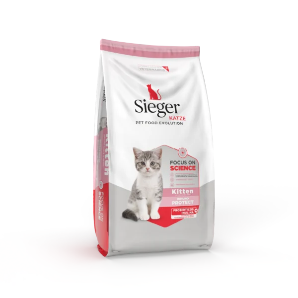 Sieger Katze Kitten
