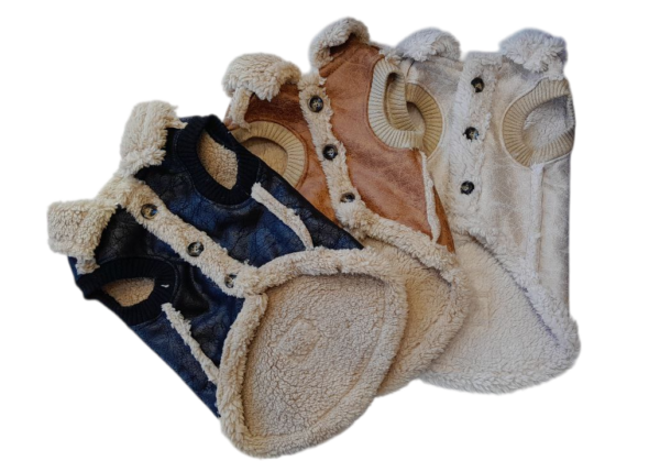 Campera Gamulán - Mascotte - Image 3