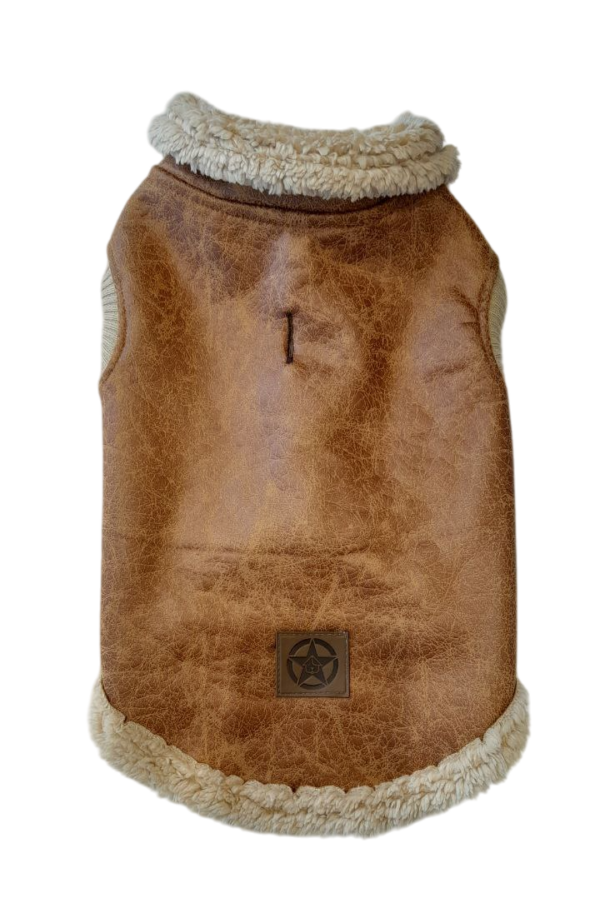 Campera Gamulán - Mascotte - Image 4