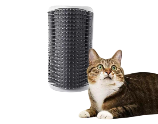 Rascador Esquinero Gato