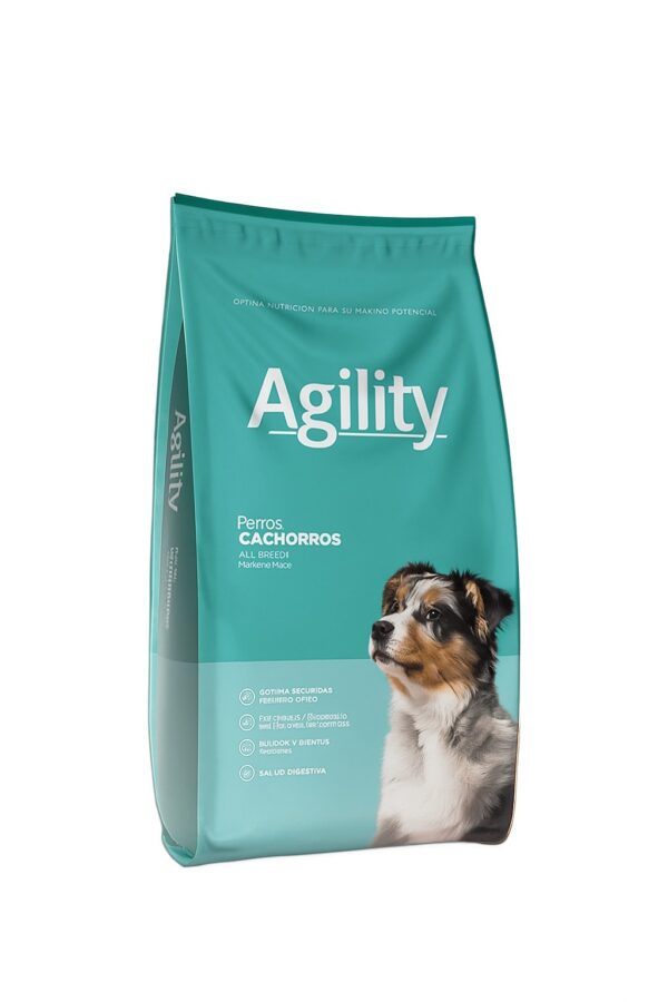 Agility Cachorro Raza Mediana y Grande