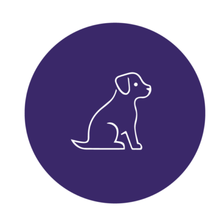 Balanced Perro Natural Recipe Carne Argentina