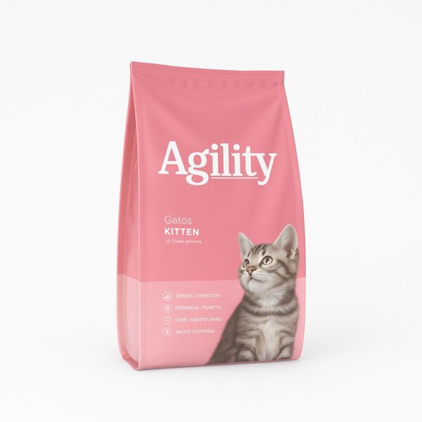 Agility Gato Kitten