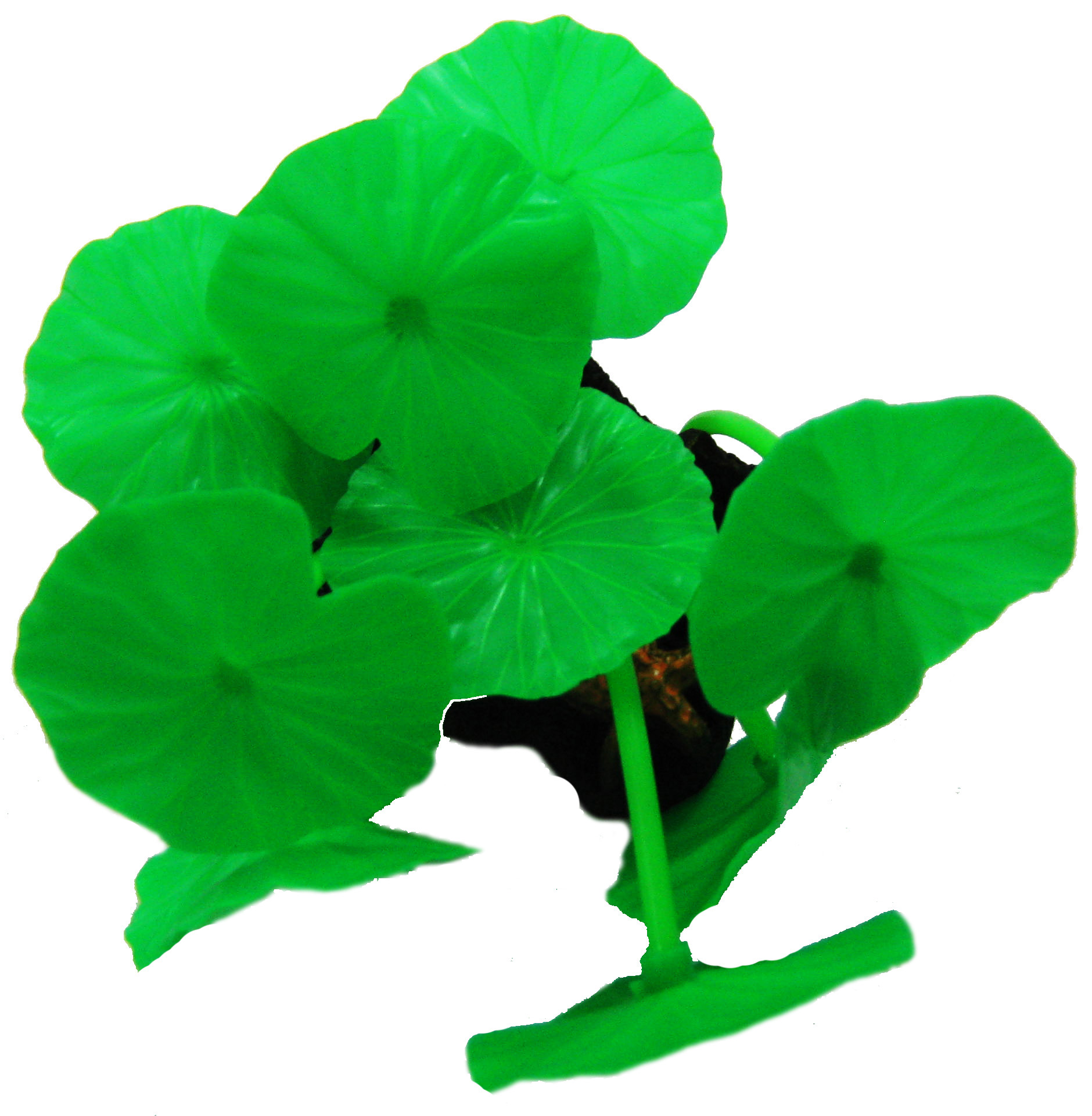 Hoja de Loto Silicona Fluor Verde