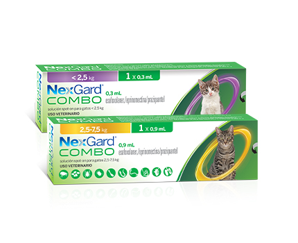 NexGard Spot Gato