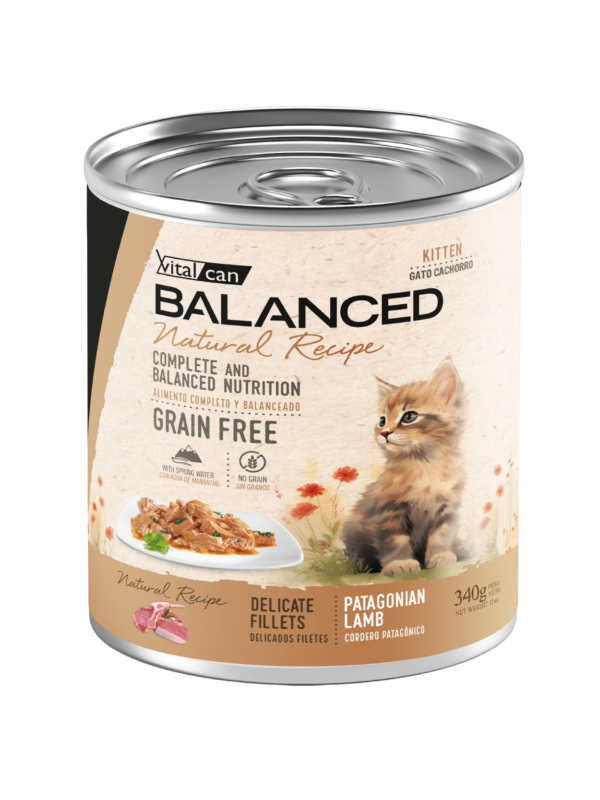 Lata Balanced Natural Recipe - Gato Cachorro