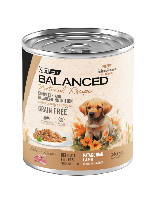 Lata Balanced Natural Recipe - Cachorro - Image 2