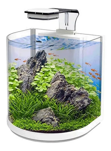 Acuario Semicircular Atman
