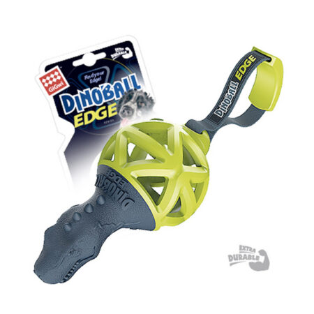 Bandeja Sanitaria Bergamo