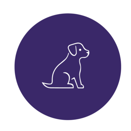 Lata Balanced Souffle de Carne - Cachorro