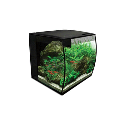 Acuario Marina Fluvial Flex - Imagen 2