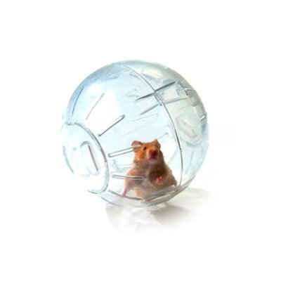 Bola de Hamster con Pie