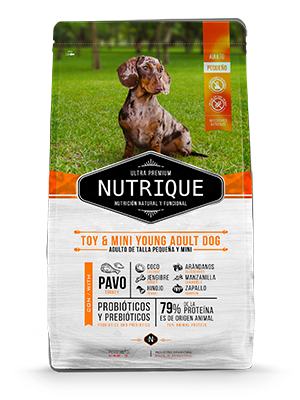 Nutrique Toy Mini Young Adulto