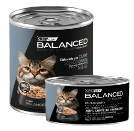 Lata Balanced Gato Senior Souffle de Merluza