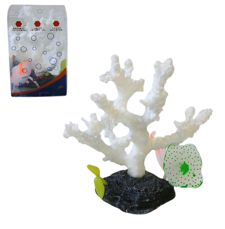 Coral Decorativo