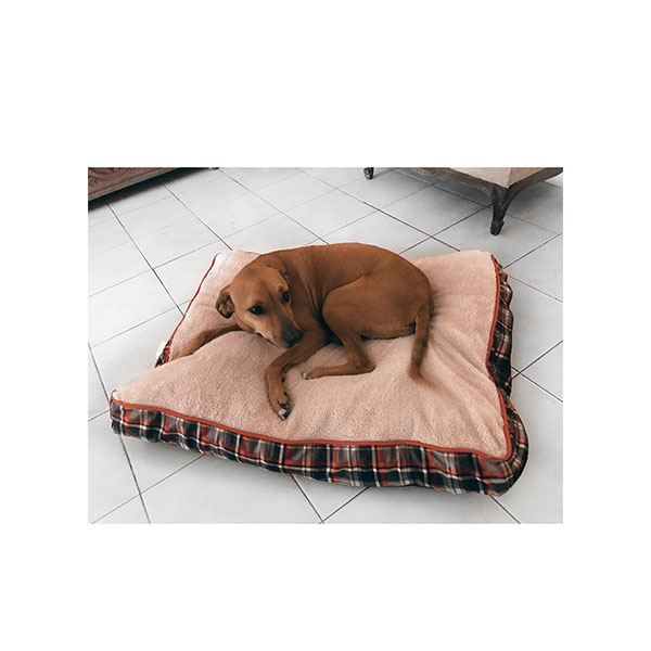 Colchoneta Dogit Dreamwell Dog - Imagen 2