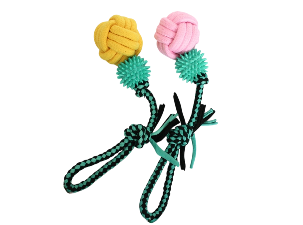 Soga Larga con Mordillo