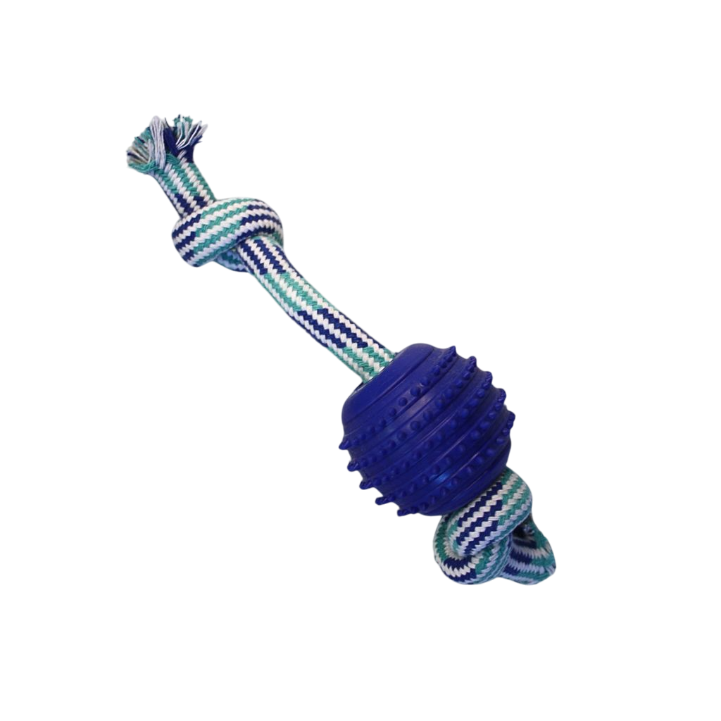 Pelota Púas con Soga