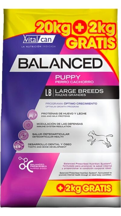 Vitalcan Balanced Cachorro Grande 20 +2 kg