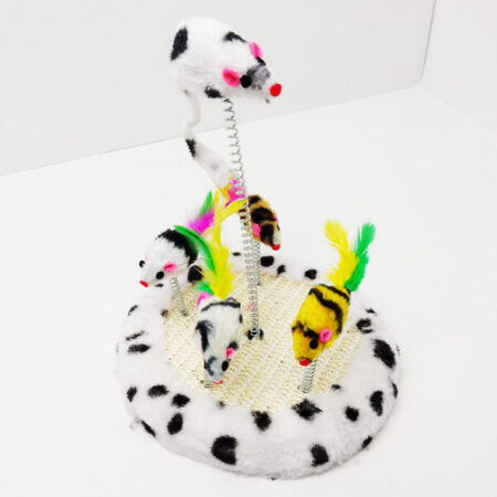 Ratitas Dancing Family