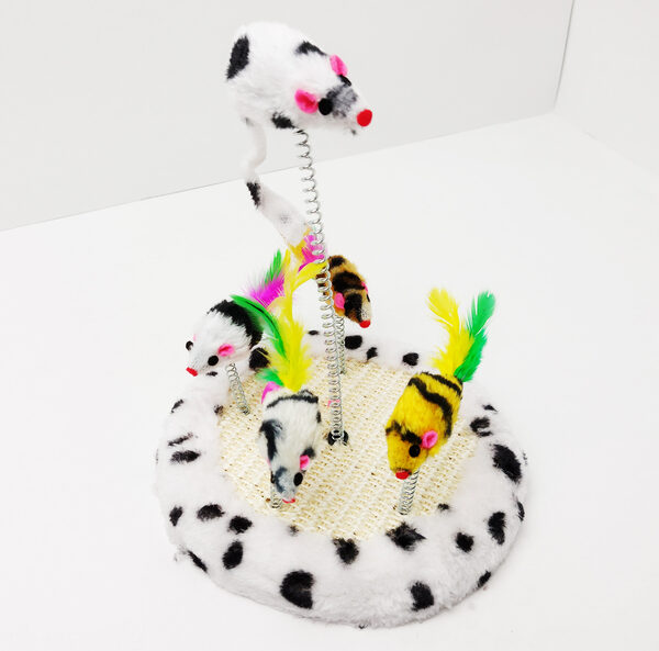 Ratitas Dancing Family