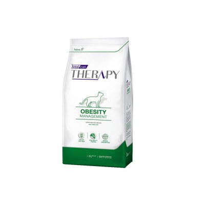Therapy Feline Obesity