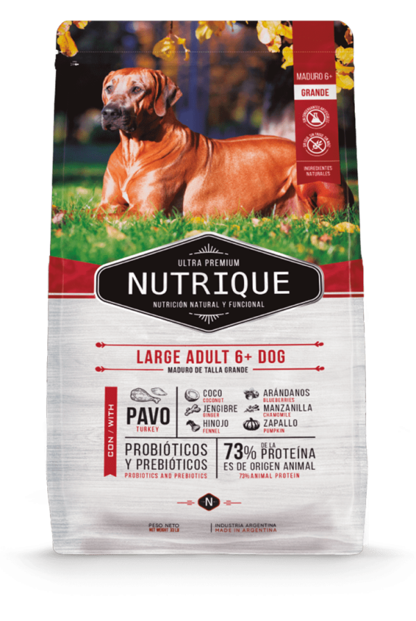 Nutrique Large Adulto + 6